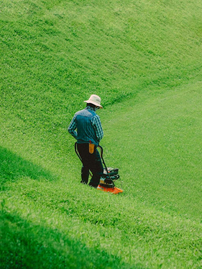 hero-img-02 Back view of a man mowing grass on a sunny day with a vibrant green lawn.